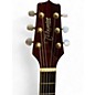 Used Takamine Used Takamine eG536SHB Natural Acoustic Electric Guitar