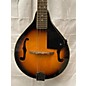 Used Rogue RM100A A Style Mandolin