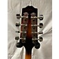 Used Rogue RM100A A Style Mandolin