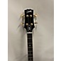 Used Gibson GIBSON MONEY BASS Electric Bass Guitar