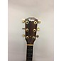 Vintage Taylor Vintage 1992 Taylor 810 Natural Acoustic Guitar