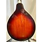 Used Hohner A Style Mandolin Mandolin