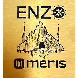 Used Meris Used Meris ENZ Effect Pedal