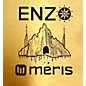 Used Meris Used Meris ENZ Effect Pedal thumbnail