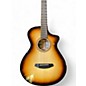 Used Breedlove ARTISTA CO BURNT AMBER CE BURNT AMBER Acoustic Electric Guitar