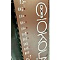 Used CIOKS Used CIOKS Ciokolate Power Supply