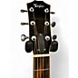 Used Taylor Used 2020s Taylor 814CE DLX Natural Acoustic Electric Guitar