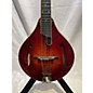 Used Eastman Used Eastman MD805/V WORN MAPLE VARNISH Mandolin