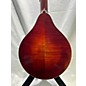 Used Eastman Used Eastman MD805/V WORN MAPLE VARNISH Mandolin