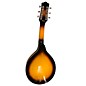 Used Gold Tone Used Gold Tone GM6 Sunburst Mandolin