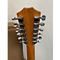 Used Taylor Used  Taylor 254ce Natural