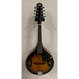 Used Eden Used Rogue RM100A A Style 2 Color Sunburst Mandolin