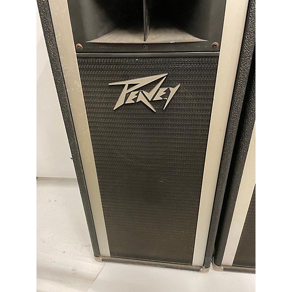 Used Peavey Used Peavey XR 500 Unpowered Speaker