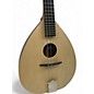 Used Big Muddy MW-0JW Natural Mandolin thumbnail