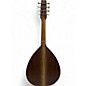 Used Big Muddy MW-0JW Natural Mandolin