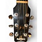 Used RainSong Used RainSong WS1000 Carbon Fiber Acoustic Electric Guitar