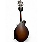 Used The Loar Used The Loar LM310F 2 Tone Sunburst Mandolin