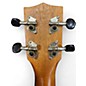 Used Kala Used Kala LTPS Natural Ukulele