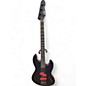 Used ESP Used ESP Frank Bello Signature Satin Black Electric Bass Guitar thumbnail