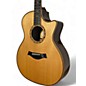 Used Taylor COCOBOLO LTD LTD Natural Acoustic Electric Guitar