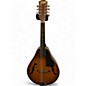 Used Goya Used Goya GM16 Vintage A style 2 Color Sunburst Mandolin thumbnail