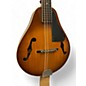 Used Goya Used Goya GM16 Vintage A style 2 Color Sunburst Mandolin