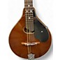 Used SIGMA Used SIGMA SM3 A Style Mahogany Mandolin