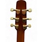 Used Seagull Artist Cameo cw qII Natural Acoustic Electric Guitar