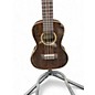 Used Kala Used Kala kapxzct zircote concert ukulele Natural Ukulele