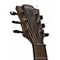 Used Lag Guitars Used Lag Guitars TRAMONTANE T170ACE Antique Natural Acoustic Electric Guitar