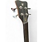 Used Warwick Pro Series Standard Corvette 4 String Fretless Walnut Electric Bass Guitar