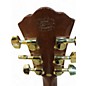 Used Washburn wd100 Mahogany Acoustic Guitar