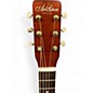 Used Art & Lutherie legacy q-discrete havana brown Acoustic Electric Guitar