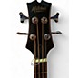 Used Mitchell T239BCE SUNNBURST Acoustic Bass Guitar