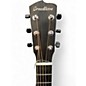 Used Breedlove premier concerto edgeburst ce Tobacco Sunburst Acoustic Electric Guitar