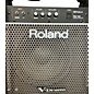 Used Roland PM-100 Powered Speaker