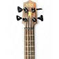 Used Kala Ubass Bass solid spruce Ukulele