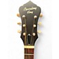 Used Recording King RP09PTS Tobacco Sunburst Acoustic Guitar