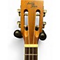 Used Eddy Finn EF-CGBX-1 Road House Graphic Satin Ukulele