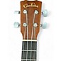 Used Cordoba 20TMCE Tenor Loch Ness Green Ukulele