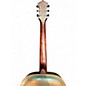 Used Recording King RM997 SWAMP DOG DISTRESSED VINTAGE GREEN Resonator Guitar