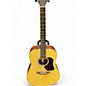 Used Walden D550 Natural Acoustic Guitar