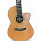 Used Seagull ARTIST MOSAIC CW FOLK ELEMENT Natural Acoustic Electric Guitar