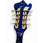 Used Washburn A style mandolin Blue Mandolin