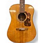 Used Washburn D-20s Natural Acoustic Guitar