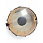Used Pacific 14X5 All Maple Maple Drum