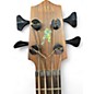 Used Kala Exotic Mahogany U-Bass Mahogany Acoustic Bass Guitar