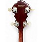 Used Fender Banjo Brown Banjo