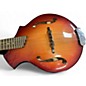 Used Breedlove CASCADE Brown Mandolin