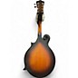 Used Luna TRINITY F STYLE Tobacco Sunburst Mandolin